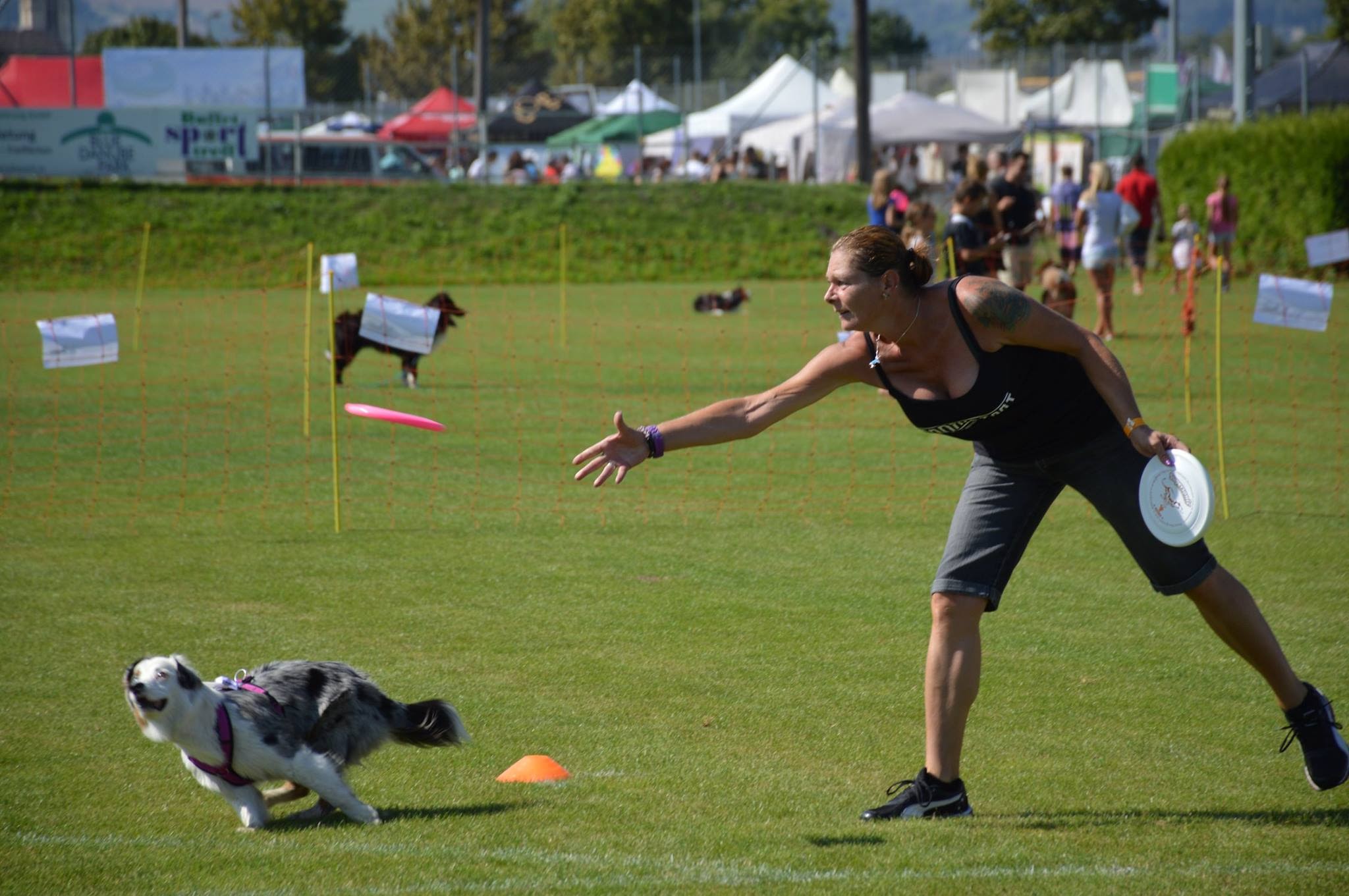 Ergebnisse und Fotos vom Dogfrisbee Fun Turnier am 1. Hundetag Korneuburg 2015